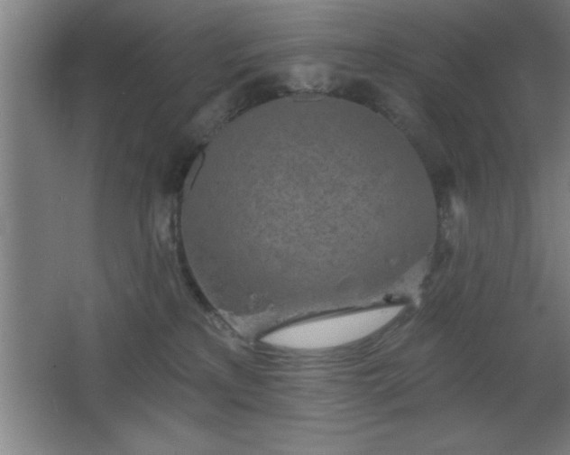 X0000068720233200605010941