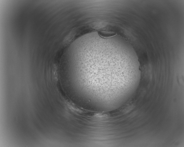 X0000068720234200605010941