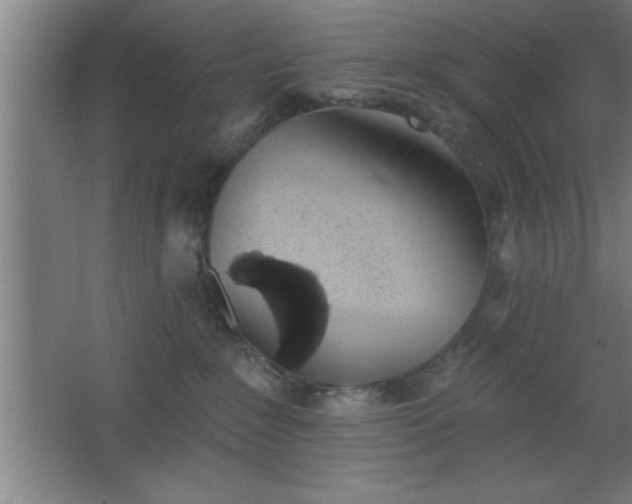 X0000068720235200605010941