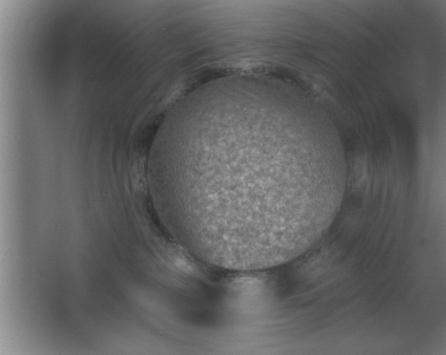 X0000068720236200605010941