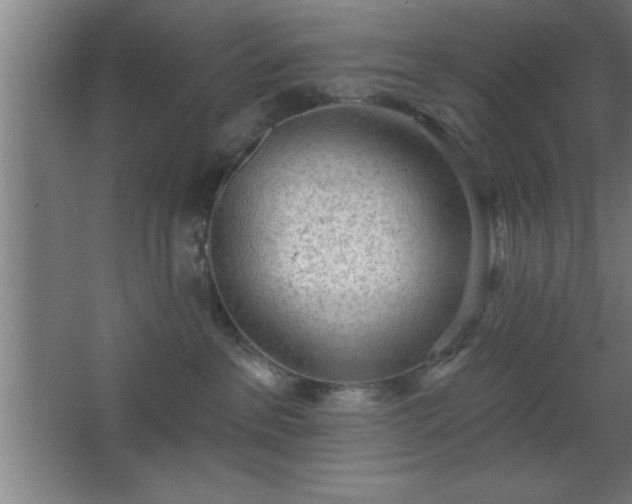 X0000068720237200605010941