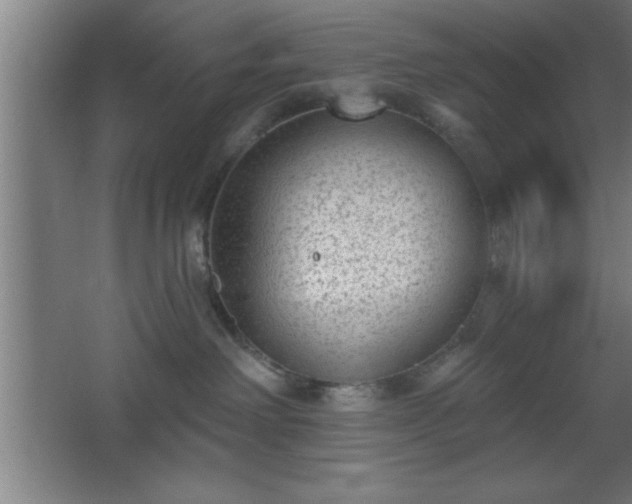 X0000068720238200605010941