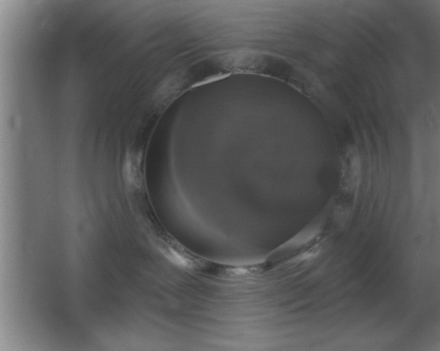 X0000068720239200605010941