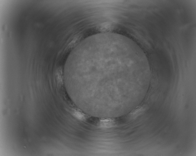 X0000068720240200605010941