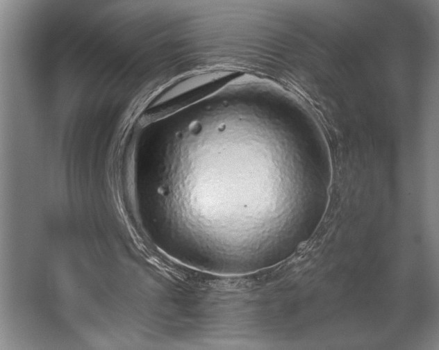 X0000068720241200605010941