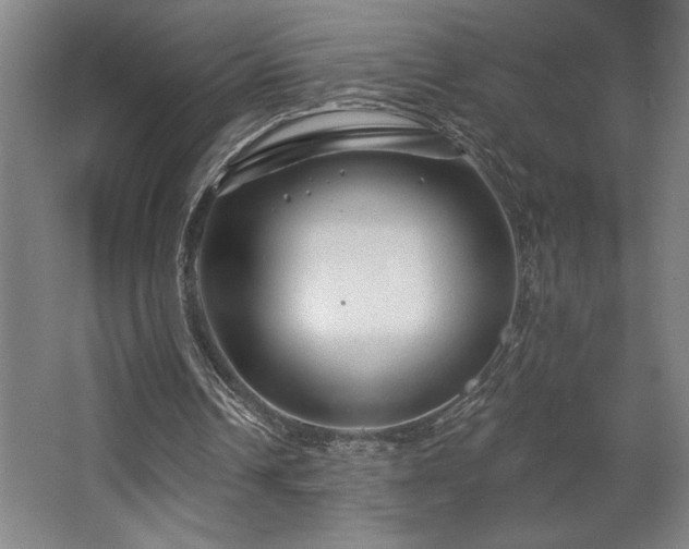 X0000068720242200605010941