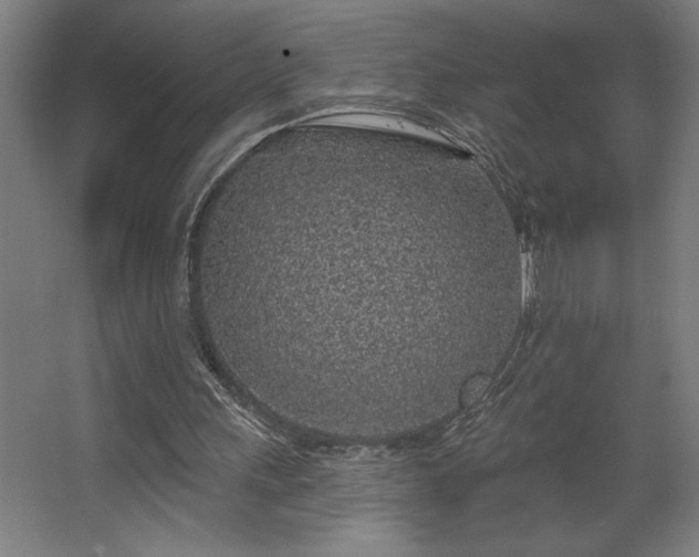 X0000068720243200605010941