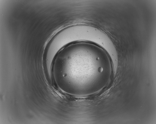 X0000068720244200605010941