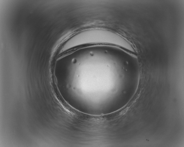 X0000068720245200605010941