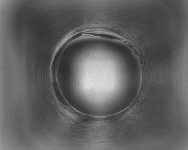 X0000068720246200605010941