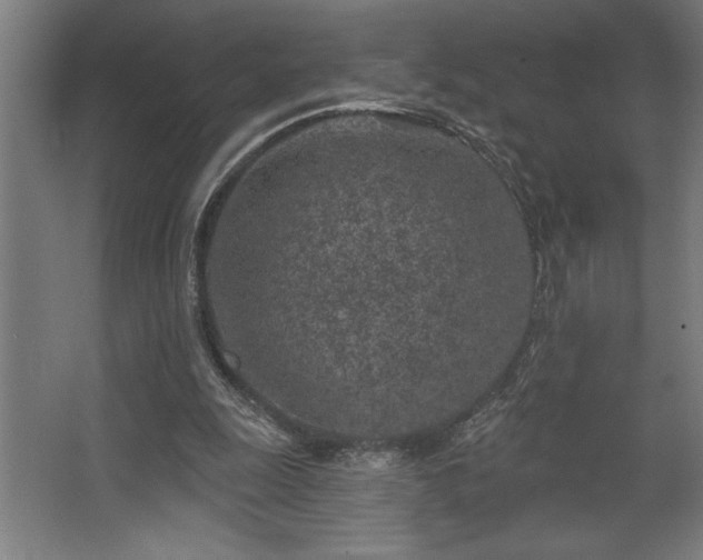 X0000068720247200605010941