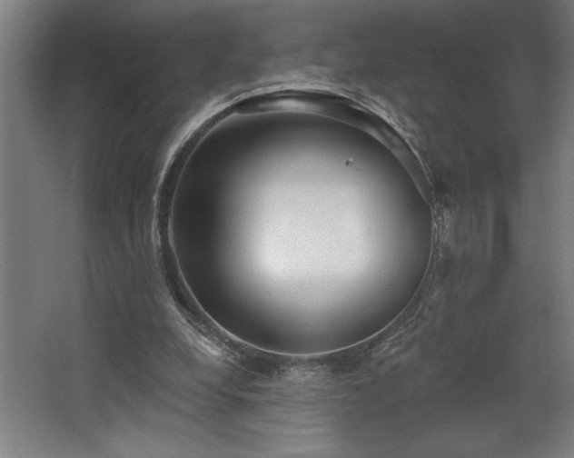 X0000068720248200605010941