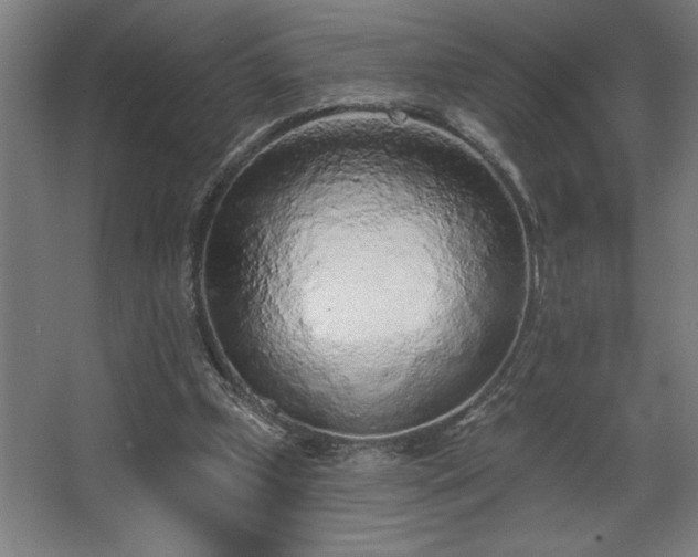 X0000068720249200605010941