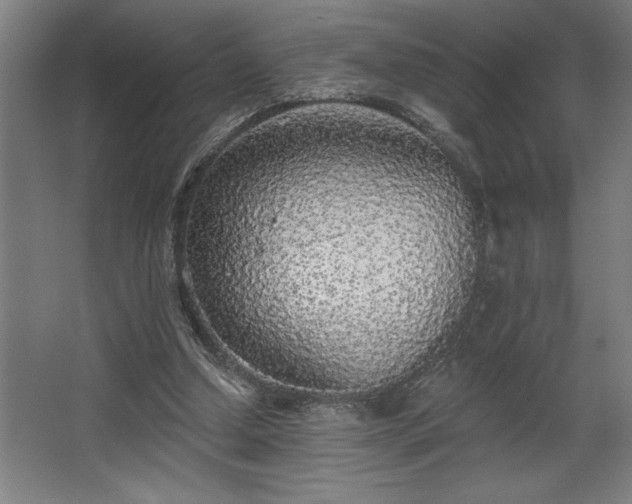 X0000068720250200605010941