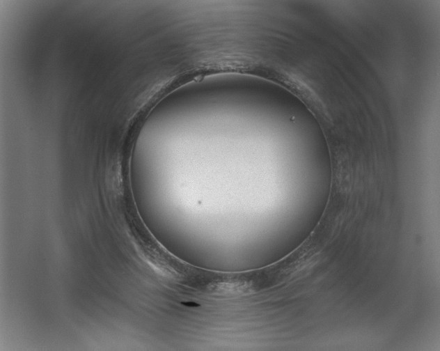 X0000068720251200605010941