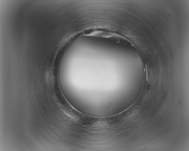 X0000068720252200605010941