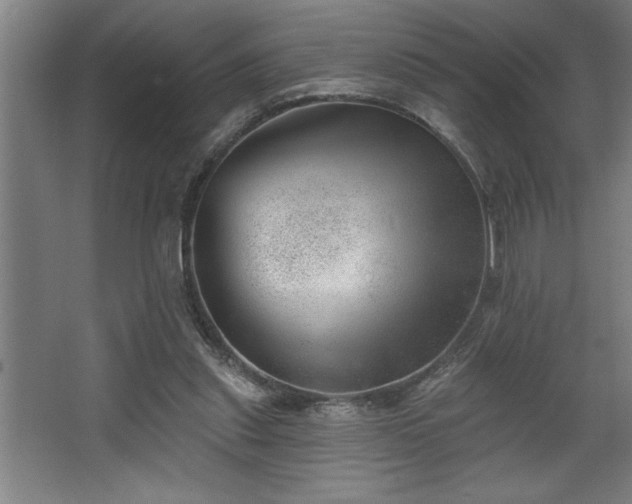 X0000068720253200605010941