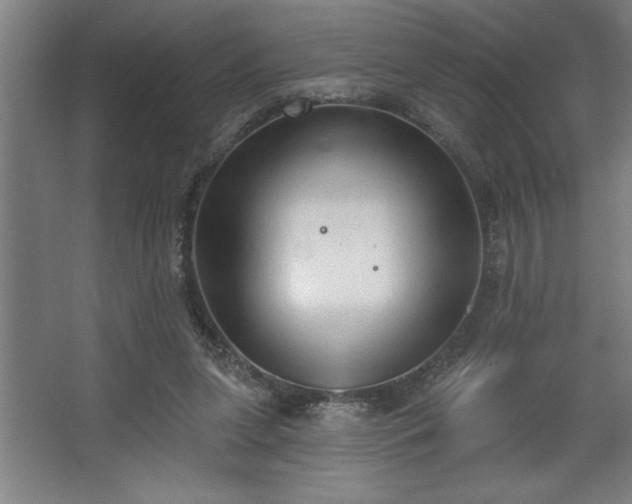 X0000068720255200605010941