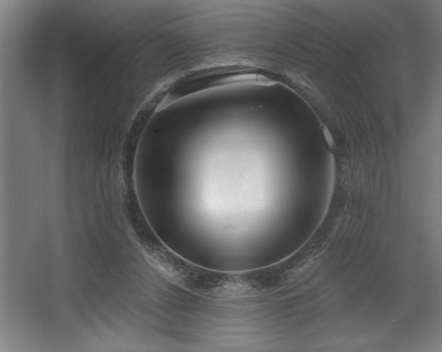 X0000068720256200605010941