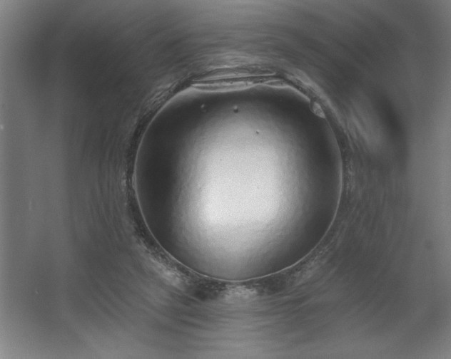 X0000068720257200605010941