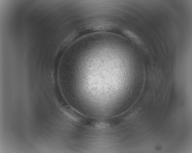 X0000068720258200605010941