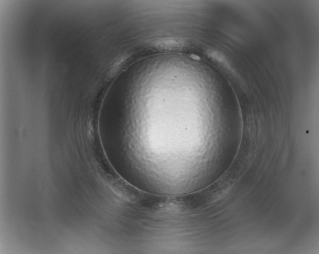 X0000068720259200605010941