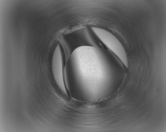 X0000068720260200605010941