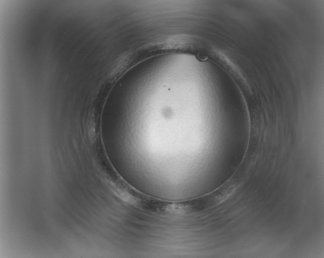 X0000068720261200605010941