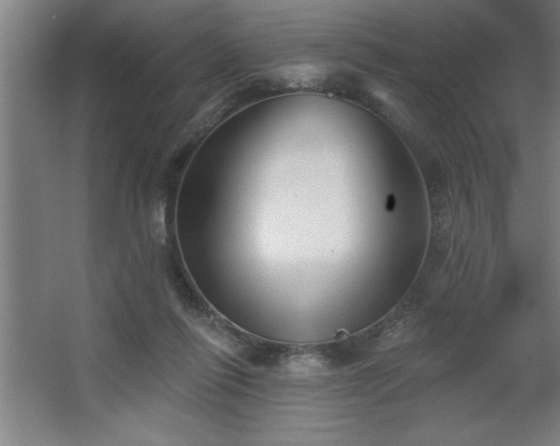 X0000068720262200605010941