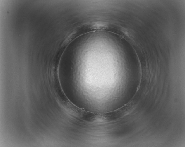 X0000068720263200605010941