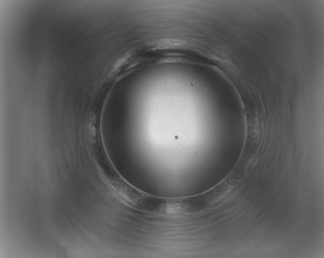 X0000068720264200605010941