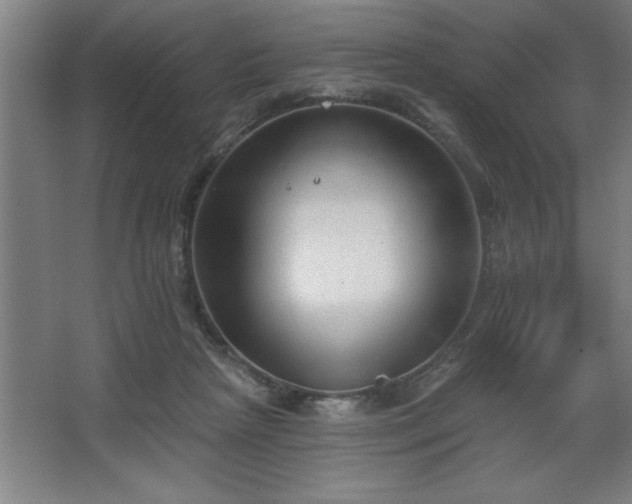 X0000068720265200605010941