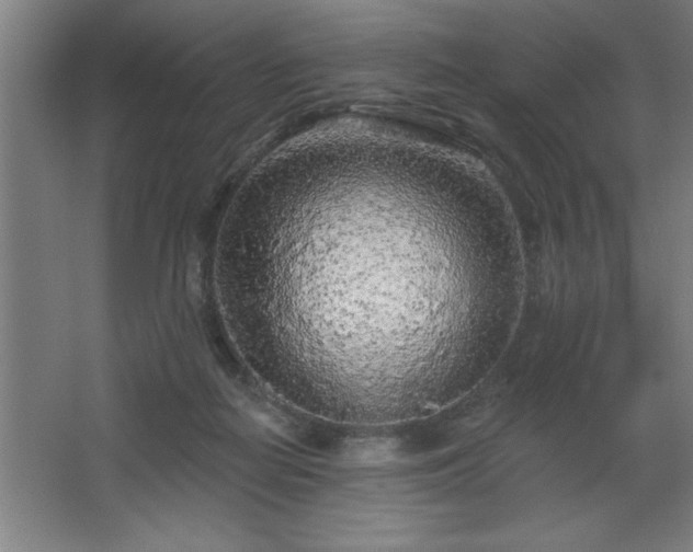 X0000068720266200605010941