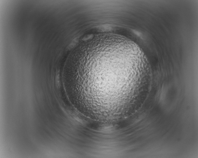 X0000068720267200605010941