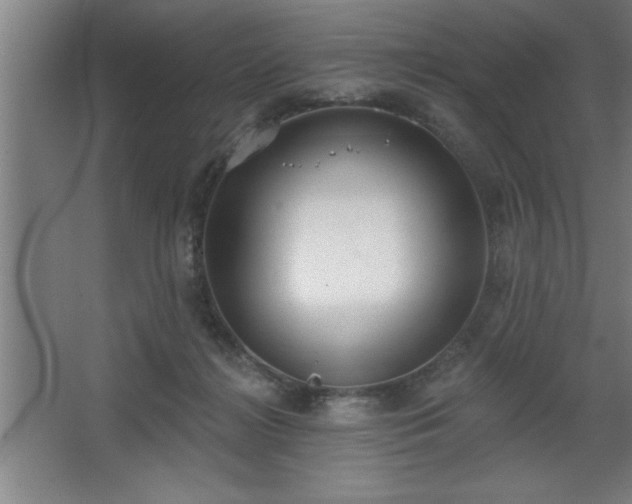 X0000068720268200605010941