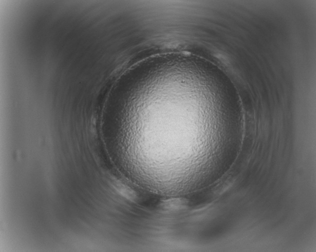 X0000068720269200605010941