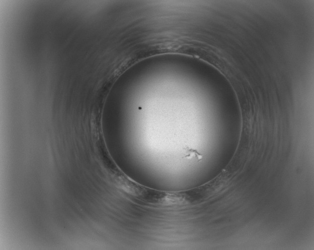 X0000068720270200605010941