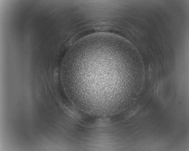 X0000068720271200605010941