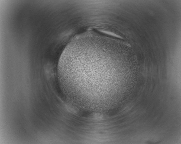 X0000068720272200605010941