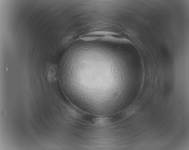 X0000068720273200605010941