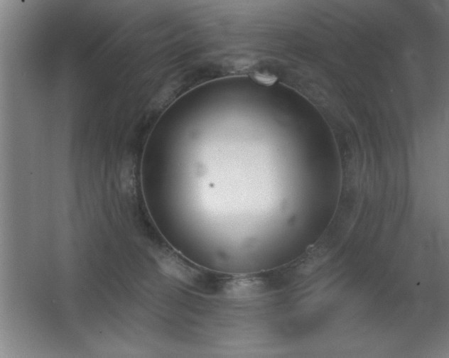 X0000068720274200605010941