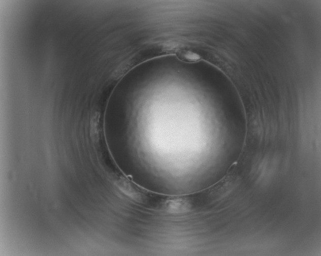 X0000068720275200605010941