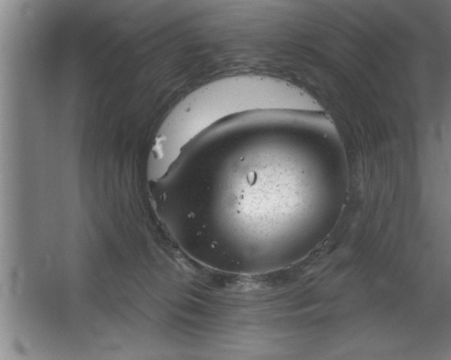 X0000068720276200605010941