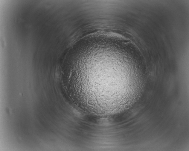 X0000068720277200605010941