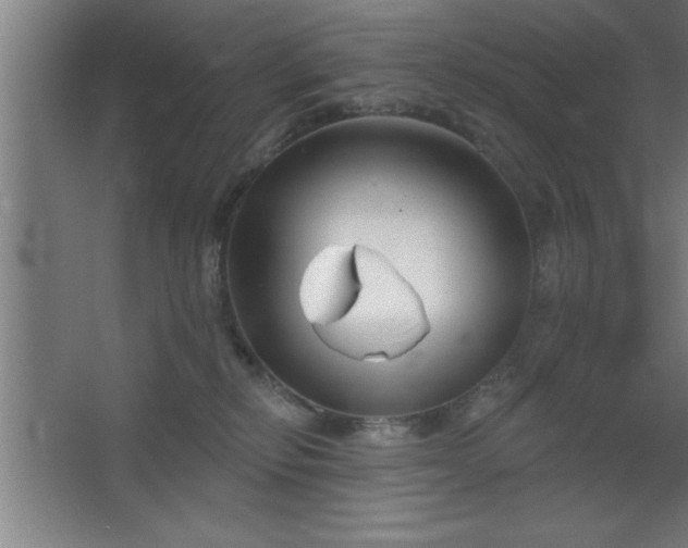 X0000068720278200605010941