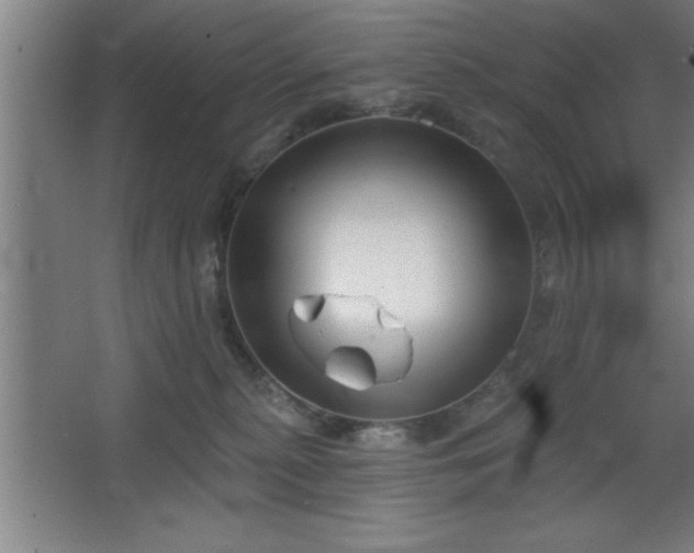 X0000068720279200605010941