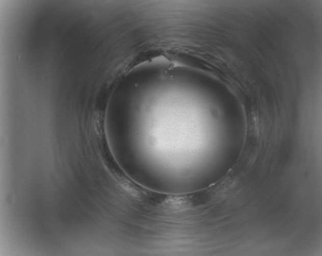 X0000068720280200605010941