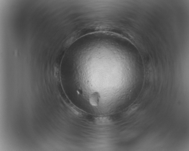 X0000068720281200605010941