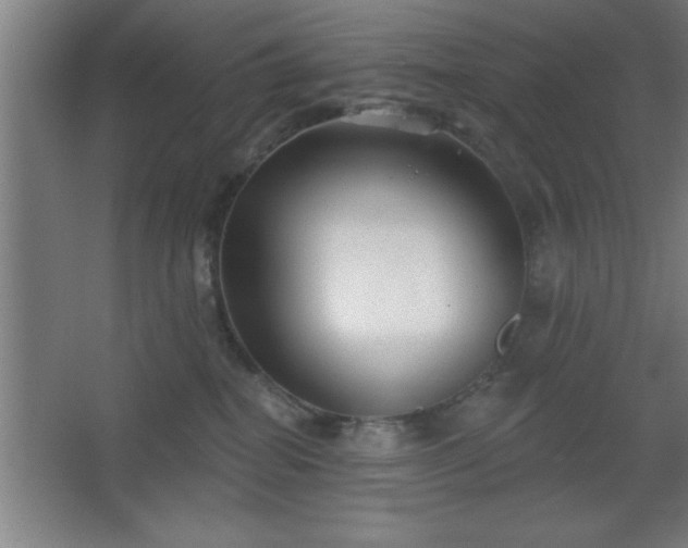 X0000068720282200605010941