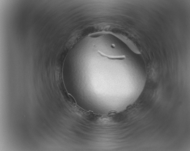 X0000068720283200605010941